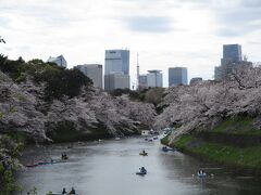 2023年3月　桜（九段下）