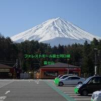 【車旅】フォレストモール富士河口湖/桜*咲いていない修善寺桂川で露天風呂付き客室でまったり