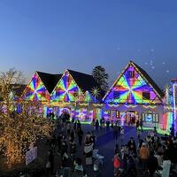 仔猫といっしょ計画（千葉旅行２０２３　２日目 袖ヶ浦編）