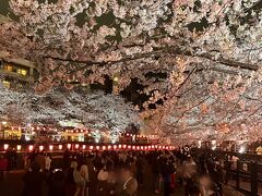 雨の週末天気悪いけど、いいじゃん午後から桜～桜～編