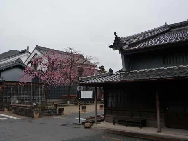 雨でスキーをあきらめて途中で引き返し、ちょうど満開の桜見物でふと目にとまった、「うだつの上がる町並み」の看板。<br />思い付きでふらりと訪れた美濃の街中。<br />まだひと気がない時間帯でしたが、こんなに見どころがある街だとは知りませんでした。<br />今まで、通過するだけの街でしたが、新たな発見をしました。