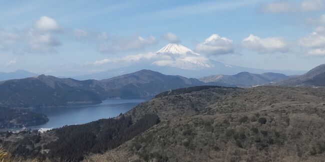 熱海旅行二日目。<br />朝は温泉に入ってから朝食。<br />温泉旅行はディナーもいいが、朝食も楽しみ。<br /><br />焼魚や納豆などの朝食の御膳もいいが、ビュッフェも楽しい。<br />和食をメインに洋食系も取って、更にはジュースや牛乳。<br />美味しい朝食を楽しんだ。<br /><br />出発前にもう一度温泉へ。<br />温泉を堪能して出発。<br /><br />あまり時間はないが、一か所くらいは観光したい。<br />熱海城や来宮神社もいいが、季節的にも熱海梅園に行ってみよう。<br /><br />見事とあって混んでいるが、きれいな梅を鑑賞。<br />散歩しながらの梅鑑賞は気持ちが良い。<br />もしかしたら初めての熱海梅園かもしれないが、期待以上の素晴らしさ。<br /><br />梅を楽しんで帰京へ。<br />カーナビをいれたら海沿いではなく山ルート。<br />少し違和感があったが、箱根を使うルート。<br /><br />芦ノ湖スカイラインから見る富士山が絶景！<br />富士山と芦ノ湖のコントラストが最高。<br /><br />熱海旅行でこの絶景が見れたのは望外で嬉しい。<br />一泊だったがのんびり楽しく温泉と観光が楽しめた。<br />