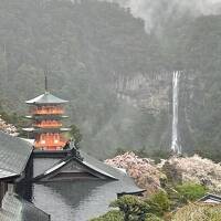 那智大社、青岸渡寺にお参りします