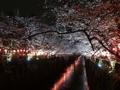 東京の桜（中目黒、千鳥ヶ淵、日本橋）散策