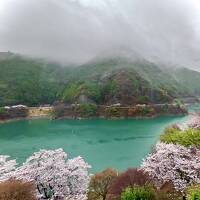 桜満開の吉野郡川上村