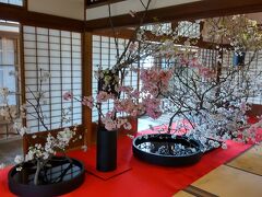 しっとり雨天の武州金沢の桜見と「花と博文邸」