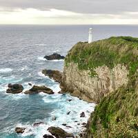 高知を3世代子連れドライブ旅行 【高知城、四万十川の沈下橋、足摺岬など】～足摺国際ホテル泊～