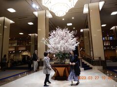 ｛帝国ホテル東京｝ 正面玄関・ランデブーラウンジ・バー・カウンター前　2023.03.27　