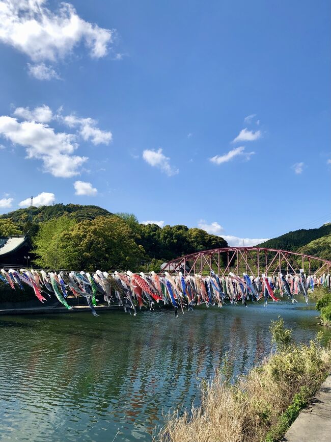 九州一周の旅3日目。<br />早めに嬉野温泉を出発して日本三大稲荷?の祐徳稲荷神社へ。<br />清水寺までは行かないけど高さのある神社でした。<br />その後は大魚神社の海中鳥居を見に行きました。<br /><br />この日は朝昼晩しっかり佐賀グルメを堪能。<br />朝は多良岳山の名水と多良のお米から作られたおにぎり。<br />お昼は初めての佐賀ちゃんぽん。<br />夜は佐賀牛のお弁当。<br />どれもすごく美味しかったです!<br /><br />吉野ヶ里遺跡までの道中、川上峡で春まつりが開催されていました。<br />川上峡にかかるたくさんの鯉のぼりに感激!<br />こういう光景、一度は見てみたかったんです。<br />下調べとルート選びは大成功でした!!<br />天気予報通り午後は綺麗に晴れたので良い写真が撮れて大満足。<br /><br />最後は吉野ヶ里遺跡。<br />日本史を選択していたのでよく知っていましたが、実際に行けるとは思っていませんでした。<br />しかしなんと!宿泊先の鳥栖のすぐ近く!!<br />実物大のジオラマを見学しました。<br />閉園1時間半前だったのでじっくり全部見ることができなかったのが心残りです。<br /><br />ホテルには夕方まだ明るい時間に到着。<br />部屋着に着替えて早速ビールでひと息。<br />鳥栖のホテル近辺には何もないので外出はせず朝までのんびり過ごしました。<br />夜ごはんとして買ってきたカイロ堂の佐賀牛弁当は大当たり!!<br />冷めてもこんなに美味しいなんて感動!!<br />とても充実した一日で佐賀が大好きになりました。