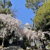 大垣・関ヶ原旅行記