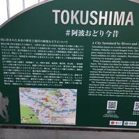 徳島の山・眉山と阿波踊り会館見学記