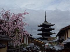 京都訪問2023①（京都の桜を見に行く：京都市内・清水寺、清水坂、二年坂）
