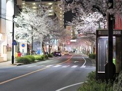 東山線藤が丘の桜並木