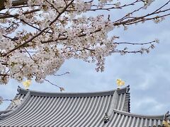 あしあとを辿る旅　25 京阪宇治から朝日焼さん　平等院