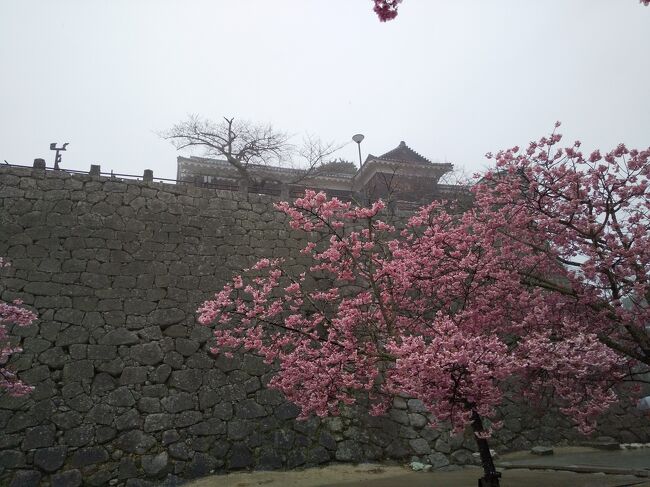金比羅山と道後温泉へ春の旅（３）雨の松山城と石手寺