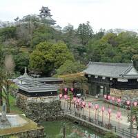 四年ぶりの旅は高知　～日曜市と高知城歴史博物館～　（高知旅・前編）