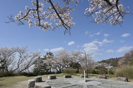 二上山登山☆今年は早い！3月なのに雌岳山頂の桜満開