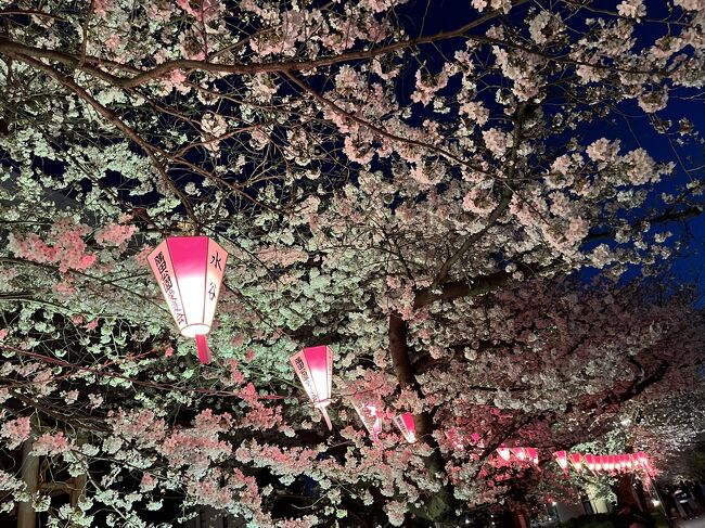 シンガポールから遊びに来た友人は、この日は飯能にあるムーミンバレーパークに行くはずだったけど、翌日は雨で桜が散ってしまうので、その前にお花見を楽しみたいということで、急きょ予定を変更して隅田公園でのお花見を楽しみました。友人は、昼間には前夜にわたしと行った井の頭公園でお昼のお花見も楽しんだそうです。せっかく桜の時季に東京に来れたのでと、桜の花見を楽しんでいました。<br /><br />シンガポールから遊びに来た友人と隅田公園でお花見　その１<br />https://4travel.jp/travelogue/11817899<br />
