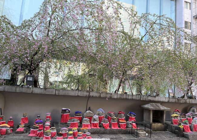 ⑬桜満喫　マダムの春旅イン京都　３日目の４　疎水散歩～六角堂　