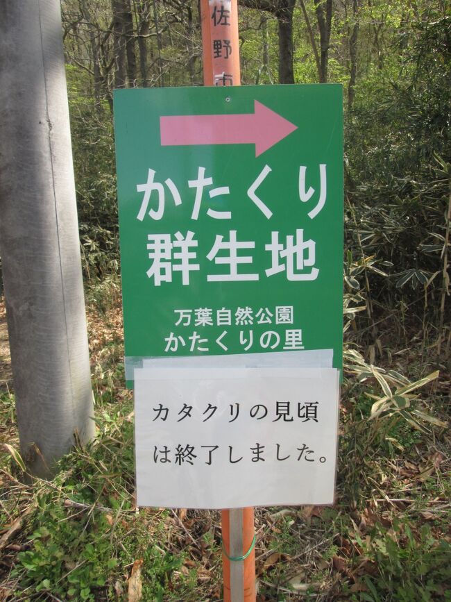 佐野市と栃木市の市境にある三毳山(229m)へカタクリを見に行ってきました。