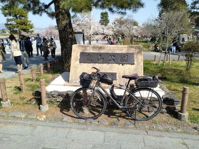 晴天で絶好のサイクリング日和。<br />嵐山へと、桜を見物に行きました。<br />平日にも拘わらず、観光客で満員御礼の状態です。　<br />https://www.strava.com/activities/8796033636