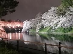 ’２３　東京桜さんぽ　千鳥ヶ淵の満開の桜