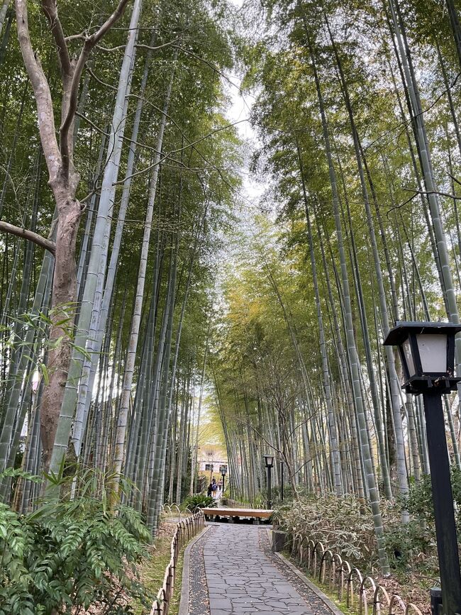 全国旅行支援でミステリーツアー／伊東温泉「ホテル伊東パウエル」／沼津、下田、修善寺など伊豆半島の旅