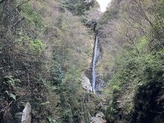 日帰りで道の駅足柄　金太郎のふるさと、丸太の森、洒水の滝に行きました