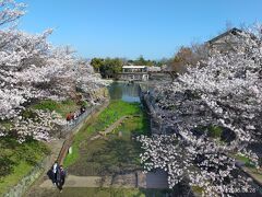 2023年春の京都