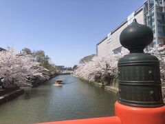 春爛漫な京都