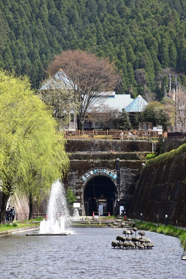 昭和48年（1973）に熊本県の国鉄高森線と宮崎県の国鉄日ノ影線（後に高千穂線）を結ぶ鉄道として、高森～高千穂間（23.2km）に「高千穂新線」工事が着工。<br />昭和50年（1975）2月以降「高森トンネル」内で度重なる出水事故が発生。高森町の自然湧水、地下水が過大な被害を受け、飲料水の供給がストップする事態に陥りました。<br />そのため、トンネル工事は、2,055m程進捗した昭和51年（1976）9月から渇水対策のため、工事が一時中断。<br />その後、国鉄再建法の制定により、高森線の第三セクター化が決定。「高森トンネル」工事は中止となり「高千穂新線が未成線」となりました。<br />そして18年後の平成6年（1994）、鉄道遺構となった高森トンネルを活用し「高森湧水トンネル公園」が誕生しました。<br /><br />今日は南阿蘇鉄道見晴台駅付近で菜の花畑を走るトロッコ列車の風景を撮影後、「高森湧水トンネル公園」へ向かいます。<br />併設されている「湧水館」では、未成線になった高千穂新線と高森トンネルの出水事故について知ることができます。<br />途中、桜と菜の花が彩るトロッコ列車と何回か出会い、鉄道写真に収めます。<br />帰りがけの熊本駅では、鮨処「牛深丸」に立ち寄り、天草の海の幸と熊本名物の馬握りを味わいます。<br /><br />なお、旅行記は下記資料を参考にしました。<br />・南阿蘇鉄道のHP<br />・熊本県公式観光サイト「高森湧水トンネル公園」<br />・湧水館の説明パネル<br />・おがえもん廃線研究所「国鉄高森・高千穂未成線」<br />・じゃらん「熊本の旅～ゆるキャラ(62)風まる」<br />・休暇村南阿蘇ブログ「３年ぶりの高森伝統のお祭り「高森風鎮祭」」<br />・祭りの日「高森風鎮祭」<br />・熊本県畜産農業協同組合連合会「あか牛ってどんな牛？」<br />・国土交通省「立野ダム工事事務所」<br />・南阿蘇総合情報サイト「ニコニコ饅頭」<br />・天草HERO鮨 牛深丸 熊本駅店のHP<br />・農林水産省、うちの郷土料理、熊本県「一文字のぐるぐる」<br />・SAKIDORI「九州醤油のおすすめ12選。独特の甘味と芳醇な味わいが楽しめる」<br />・ウィキペディア「第一白川橋梁」「JR九州815系電車」