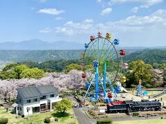 霧島市 国分城山公園の桜 2023.3.28