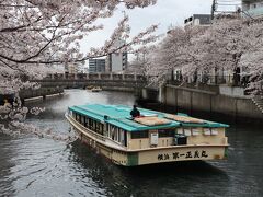 横浜　２０２３年の春をぶらぶら