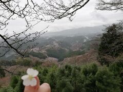 春爛漫♪近鉄週末フリー切符乗りまわし旅③【吉野編】