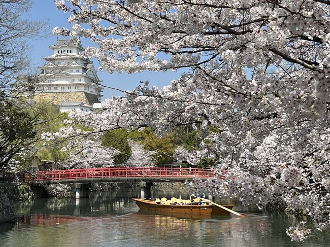 姫路城の桜が見ごろを迎えました。例年より１週間ほど早いようです。<br /><br />昼休みに姫路城まで出かけ桜を見てきました。おかげで昼食抜きです。<br /><br />コメント抜きですがご覧ください。