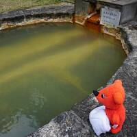 「どこかにマイル南の島」に乗る発着地：鹿児島へ！