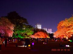 大混雑のデジタルアート☆彡『NAKED桜の新宿御苑2023』の初日に行ってみた