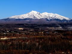 さくらの滝