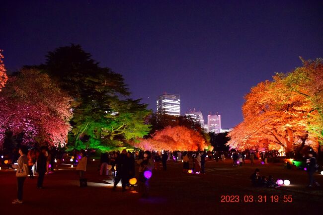 年度末最終日は休暇として、都内屈指の桜の名所である新宿御苑で本日から開催される『NAKED桜の新宿御苑2023』を見に行きました。<br /><br />『NAKED桜の新宿御苑2023』は新宿御苑とネイキッドの初コラボレーションで約70種約900本もの新宿御苑に咲く本物の桜とデジタルアートを融合させた夜桜イベント、普通の夜桜ライトアップに飽きた方には打ってつけとか・・・<br /><br />しかし、初日以上に2日目の4月1日（土）は大混雑で当日券の発売中止や入場制限が行われるほどの事態となってしまっているようです。<br />初日大混雑でしたが休日の状況を見ますと初日に行って結果的には正解でした。<br /><br />開催期間：2023年3月31日(金)～4月23日(日)<br />時間：19:00～21:00（閉門22:00）<br /><br />公式Twitter<br />https://twitter.com/gyoen_sakura23<br /><br />NAKED桜の新宿御苑2023<br />https://event.naked.works/shinjukugyoen/