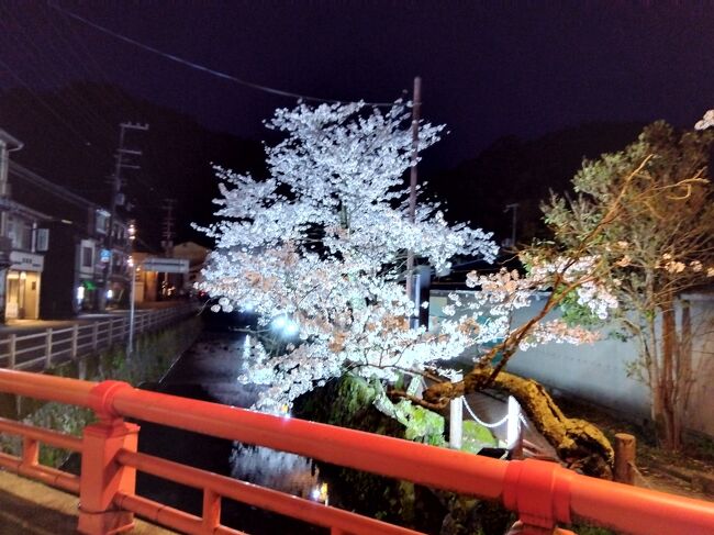 　駆け足でしたが、城崎温泉で一泊し、グルメや街歩き、夜桜を楽しんだ記録です。