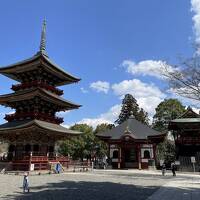 仔猫といっしょ計画（千葉旅行２０２３　３日目 成田編）