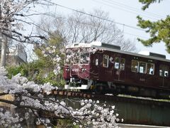 今年（令和5年）も桜を見に行きました。（近辺の公園、桜のトンネル、宝塚歌劇、夙川）