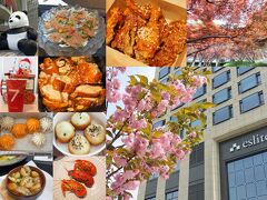４月の蘇州生活　蘇州に咲くお花と木々　淮海街でカルパッチョ＆アヒージョ　ワイマイで朝食　ドリンクなど