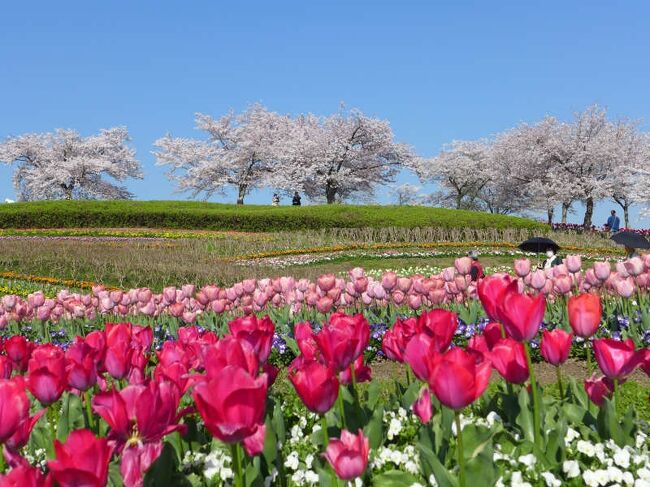 好天に恵まれて馬見丘陵公園へ<br />https://www.pref.nara.jp/1780.htm<br /><br />