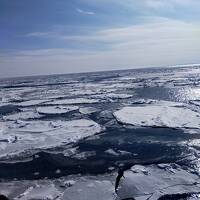 流氷めぐり