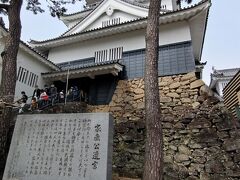 岡崎城の桜〈２〉