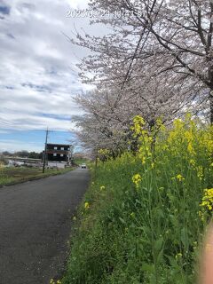 &#128099;旧中山道を歩く⑥&#128099; 13.垂井宿→14.赤坂宿→15.美江寺宿→16.河渡宿→17.加納宿