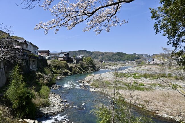 『吉野川清流』と『桜』と『柿の葉寿司食べ比べ』◇《桜の吉野山》もいいけど《桜の吉野川》も捨てたもんじゃない