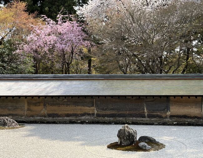 　旅はご褒美、全国旅行支援もご褒美、誕生日は自分にご褒美のトリプルご褒美。日本の春、自分に優しいご褒美には京都の桜を選びました。2023年3月27日（月）～31日（木）の4泊5日、桜満開の京都を旅しました。新幹線とホテルのセットで、阪急トラピックスで1月に手配しましたが、訪問先はフリーです。年を重ねるごとに、体力はもちろん、考えたり、記憶したりする脳の衰えを感じ、刺激を与えるための旅でもありました。ふだんの旅は、連れ回ってもらえるツアーに参加しますが、今回はフリー。桜鑑賞を目的とする訪問先について調べたり、行き方について考えたりし、脳に刺激を与えてみました。会社によって違う開花情報に一喜一憂しながら、福岡雨女を自覚しているので、天気や気温、直前の雨にも気をもみながらも、桜を満喫して来ました。その1日毎の旅行記です。①②③・・は旅行記の番号です。⑳までありますので、興味がある所だけでもご覧いただければ幸いです。<br />3月27日（月）旅行1日目　自宅最寄りの駅ー東京駅ー京都駅①<br />　ホテルエルシエント京都　4連泊③④ー東寺ライトアップ②<br />28日（火）2日目　嵯峨嵐山（トロッコ列車）ー亀山（トロッコ列車）<br />　ー嵐山⑤・・大河内山荘庭園⑥・・天龍寺⑦・・宝厳院⑧ー京都御所⑨<br />29日（水）3日目　醍醐寺⑩ー・・蹴上インクライン⑪・・岡崎十石舟めぐ　<br />　り⑫六角堂⑬夜の京都駅⑭<br />30日（木）4日目　日帰りバスツアー　京都駅＝大覚寺⑮＝花ごこ　<br />　ろ（昼食）・・妙心寺退蔵院庭園　余香苑⑯＝龍安寺⑰＝京都駅<br />31日（金）5日目　千本釈迦堂‥北野天満宮⑱・・平野神社⑲ー昼の京都駅<br />　ー品川駅ー自宅最寄りの駅⑳