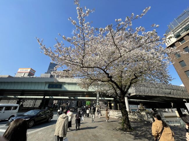日本橋周辺の散策と桜クルーズです<br />結構楽しめます<br />https://youtu.be/9kYgmkd7O24